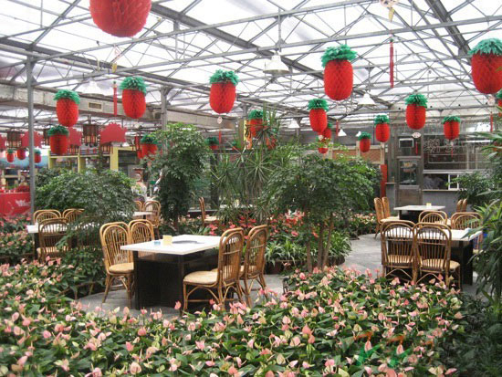 智能溫室生態餐廳內景