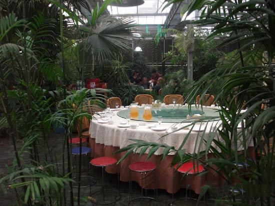 智能溫室生態餐廳內景
