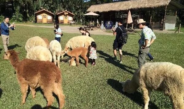 農耕體驗.jpg