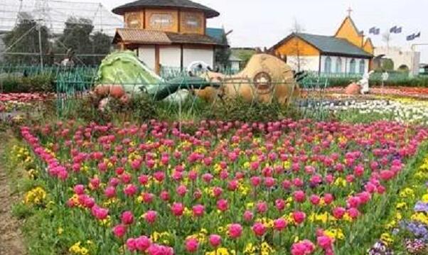 休閑農業3.jpg