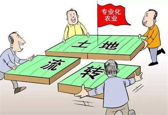 土地流轉(zhuǎn)